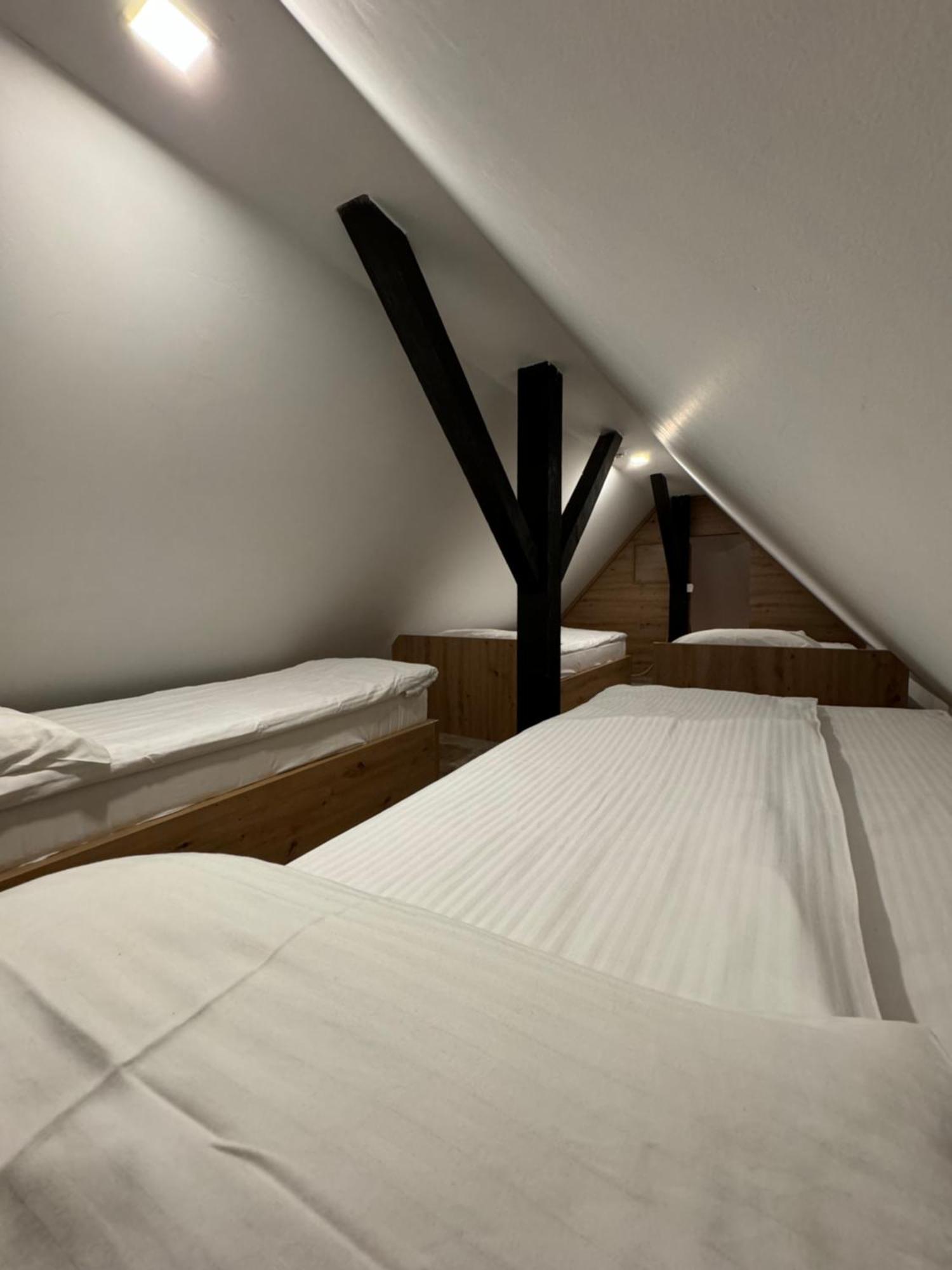 Apartments Suncani Vrhovi コパオニク エクステリア 写真